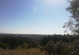 Building Land Building Land