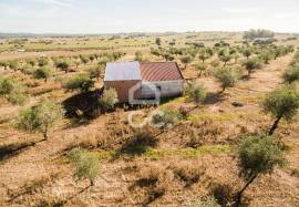 Farm Mourão Granja