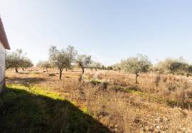 Farm Mourão Granja