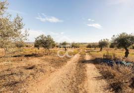 Farm Mourão Granja