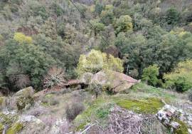 Ruin Chaves CELA CHV