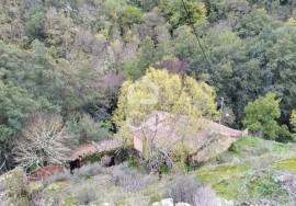 Ruin Chaves CELA CHV