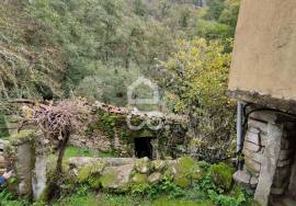 Ruin Chaves CELA CHV
