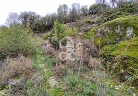 Ruin Chaves CELA CHV