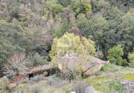 Ruin Chaves CELA CHV
