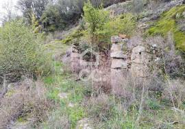 Ruin Chaves CELA CHV