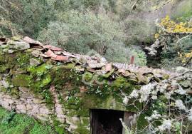 Ruin Chaves CELA CHV