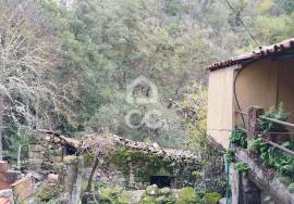Ruin Chaves CELA CHV