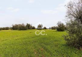 Land Redondo
