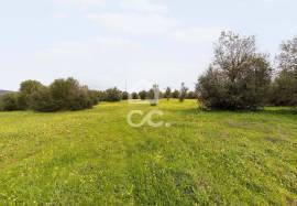 Land Redondo