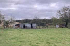 Collection of Barns to Renovate