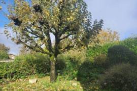 €85000 - Old 5 bedroom house - Proche Ruffec