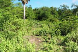 El Choco Property - Sustainable Development