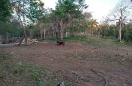 El Choco Property - Sustainable Development El Choco Property - Sustainable Development