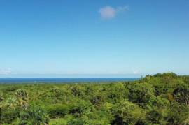 El Choco Property - Sustainable Development El Choco Property - Sustainable Development