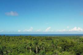 El Choco Property - Sustainable Development