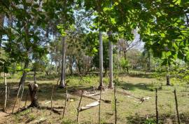 El Choco Property - Sustainable Development El Choco Property - Sustainable Development