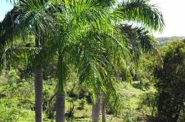 El Choco Property - Sustainable Development El Choco Property - Sustainable Development