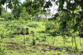 El Choco Property - Sustainable Development