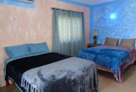 BLS WELLNESS GUESTHOUSE For Sale in Kingston