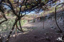 Rustic house in the center of Estreito da Calheta