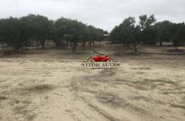 Land with 6560 m2 Land with 6560 m2