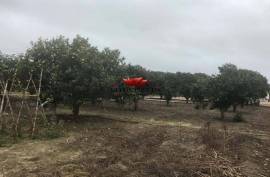 Land with 6560 m2 Land with 6560 m2