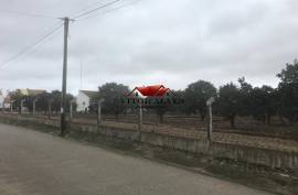 Land with 6560 m2 Land with 6560 m2