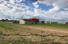 Land with 39400 m2