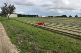 Land with 39400 m2