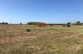 Land with 5000m2 Land with 5000m2