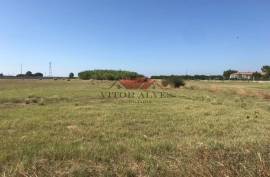 Land with 5000m2 Land with 5000m2