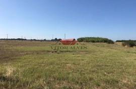 Land with 5000m2 Land with 5000m2