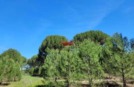Rustic Land with 65250m2