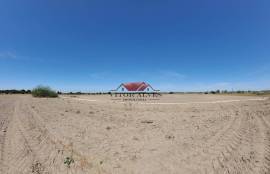 Rustic Land with 46750m2 in Pegões