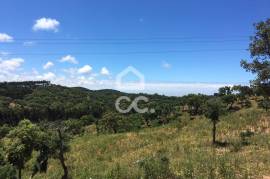Land for Construction of Tourist Development, in Porto Covo - Sines