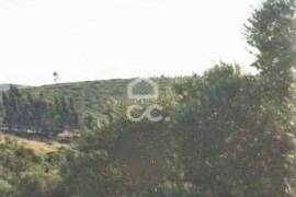 Land Sintra Almargem do Bispo