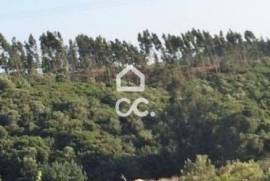 Land Sintra Almargem do Bispo