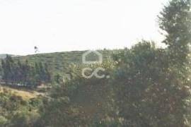 Land Sintra Almargem do Bispo