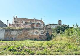 Allotment Seixal AMORA