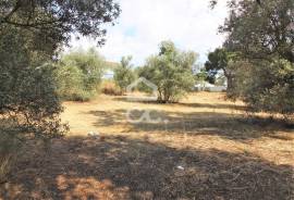 Land Seixal Fernão Ferro