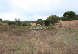 Land for Housing Construction - Arrouquelas - Rio Maior