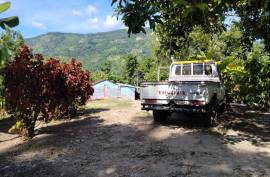 Avocado Farm In Barahona