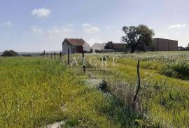 Land Ferreira do Alentejo