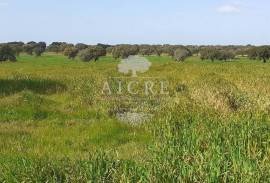 Land Ferreira do Alentejo