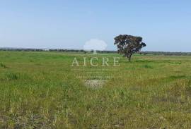 Land Ferreira do Alentejo