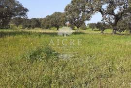 Land Ferreira do Alentejo