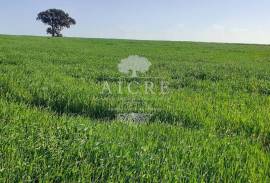 Land Ferreira do Alentejo