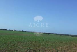 Land Ferreira do Alentejo