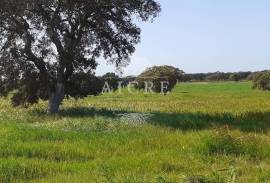 Land Ferreira do Alentejo